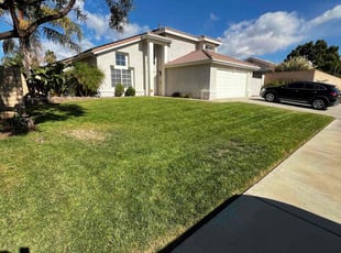 Emmanuel A.'s turf care service result