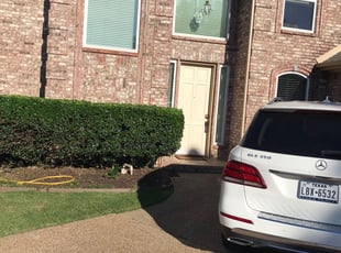 Sarai H.'s Bush Trimming service result