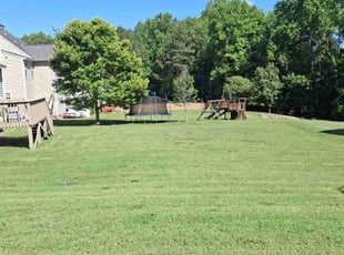 Matthew H.'s turf maintenance service result