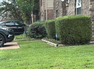 John A.'s Bush Trimming service result