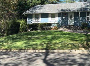 Manus M.'s lawn maintenance service result