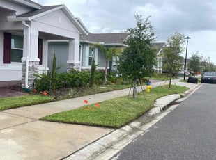 Michelle U.'s turf maintenance service result