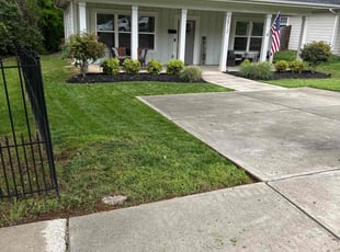 Michael O.'s grass maintenance service result