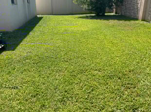 A. D.'s grass maintenance service result