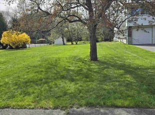 Josh H.'s lawn care service result