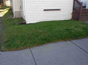 Lorraine P.'s lawn maintenance service result