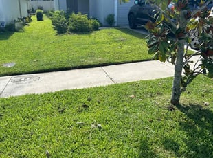 Bill A.'s lawn service service result