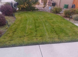 Brenda M.'s lawn care service result