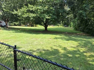 Vanessa M.'s lawn care services service result