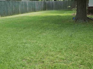 Charlene N.'s lawn care services service result
