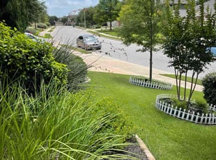 Veronica L.'s turf maintenance service result