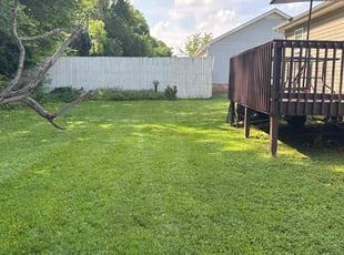 Stephani M.'s lawn care service result
