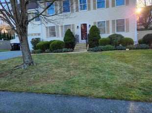 Chris B.'s Leaf Removal service result