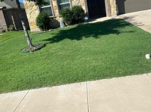 Brian C.'s lawn service service result
