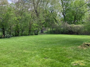 Randall C.'s landscaping service result