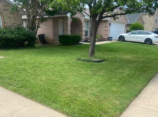 Sherry P.'s grass cutting service result