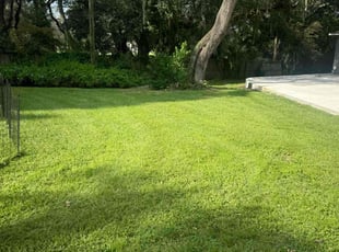 Danielle W.'s lawn care services service result