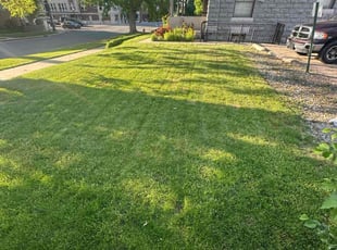 Sandra M.'s turf maintenance service result