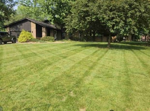 Rusty F.'s lawn care service result