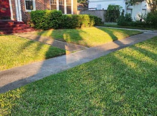 Candice W.'s turf maintenance service result