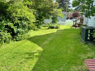 Demetrius G.'s gardening service service result