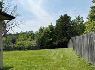 Ethan B.'s lawn service service result