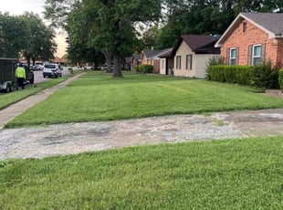 Bernard Y.'s lawn care service result