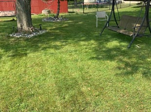 Mel S.'s grass maintenance service result