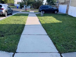 Liz C.'s turf maintenance service result