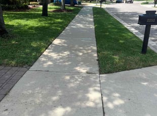 Tashi D.'s landscape maintenance service result