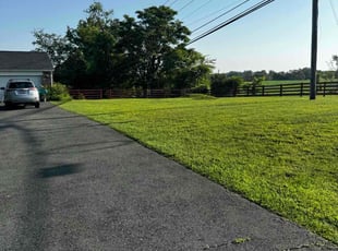 Shaneika H.'s lawn care service result