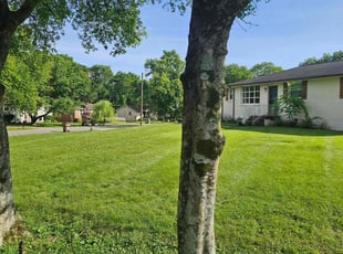 Marshalla T.'s turf maintenance service result