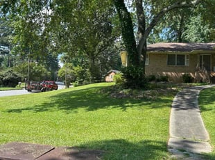 Colin D.'s turf care service result