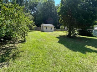 Adam C.'s grass maintenance service result