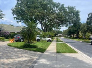 Jennifer M.'s lawn maintenance service result