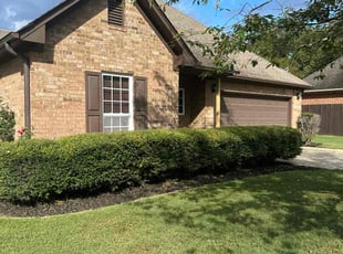 Elizabeth D.'s Tree Trimming service result
