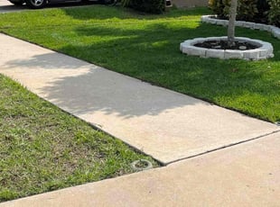 Dacy S.'s lawn maintenance service result