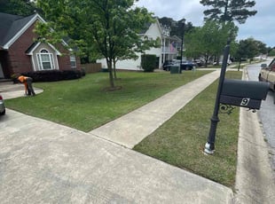 John K.'s grass maintenance service result