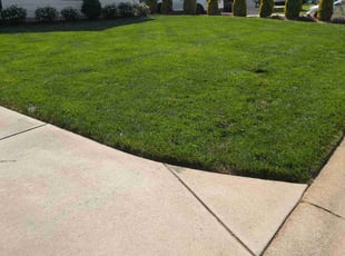 Joshua B.'s yard care service result