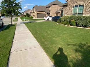 Tom M.'s turf maintenance service result
