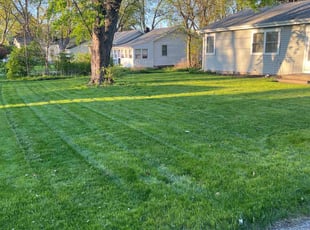 Sharod M.'s lawn care services service result