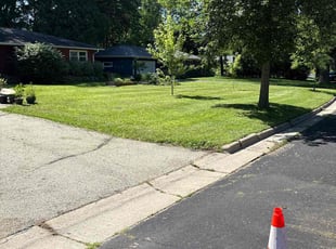 Wenjing L.'s grass maintenance service result