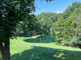 Patrice A.'s lawn maintenance service result