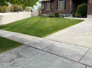Cahn W.'s lawn maintenance service result