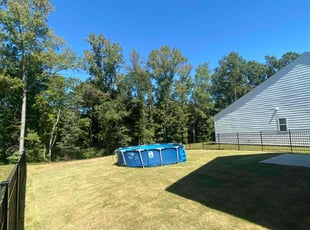 Lynn K.'s turf care service result