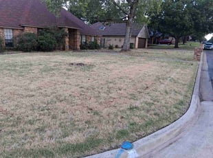Jesse L.'s lawn service service result