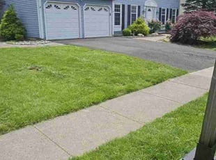 Austin R.'s turf care service result