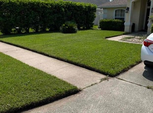 Mark P.'s turf care service result