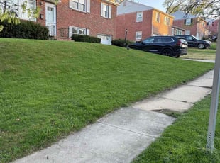 Danie D.'s grass maintenance service result