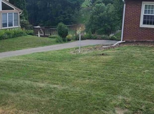 Georgianne s.'s lawn service service result